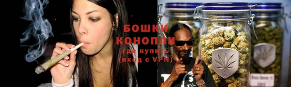 дживик Сясьстрой