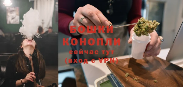 дживик Сясьстрой