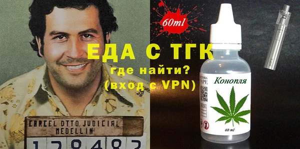 дживик Сясьстрой